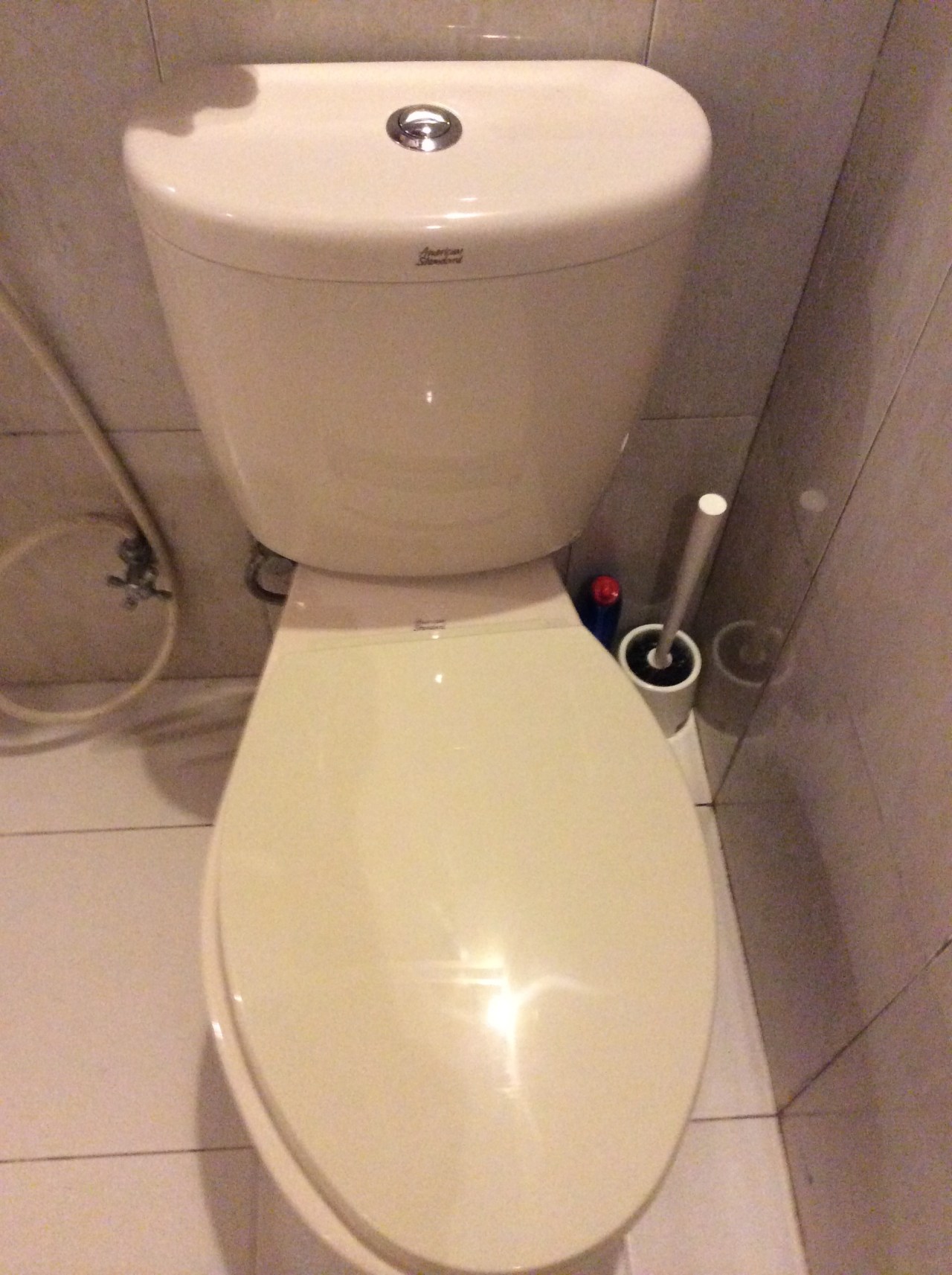 toilet